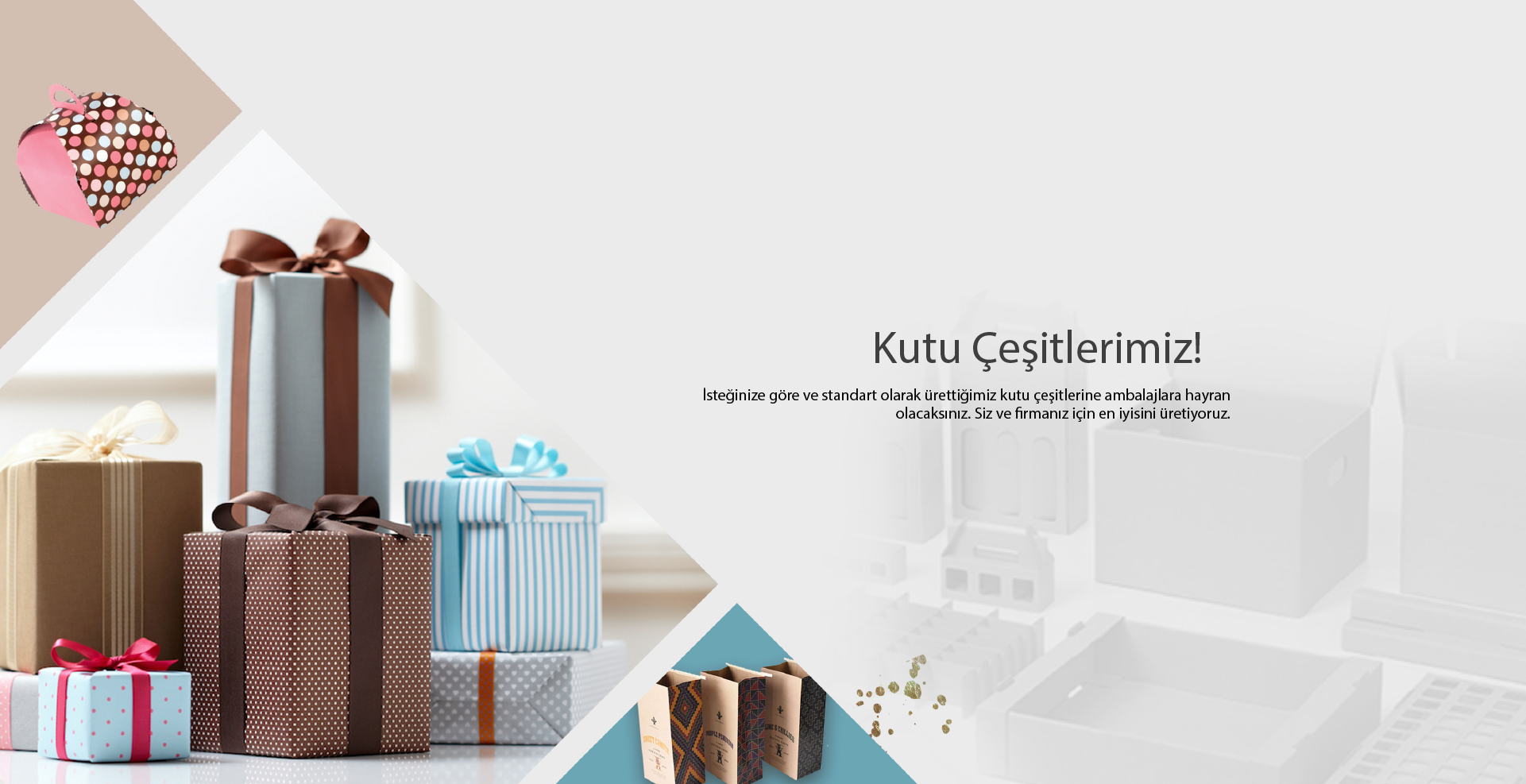 Avrasya Kutu fotoğraf 2